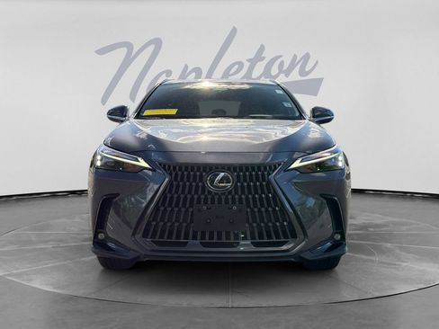Used 2024 Lexus NX 350 AWD w/ Cold Area Package image 2