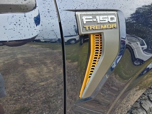 Used 2025 Ford F150 Tremor w/ Tow/Haul Package AWD/4WD image 16
