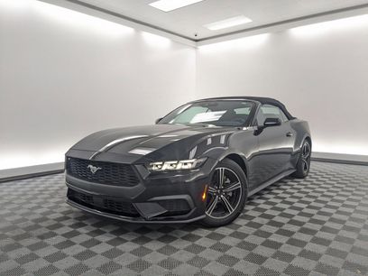 Used 2024 Ford Mustang Premium