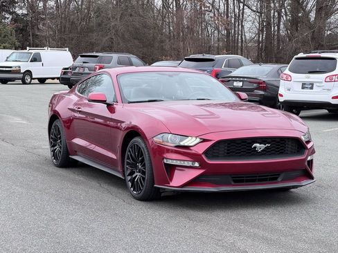 Used 2019 Ford Mustang Premium w/ Equipment Group 201A image 2