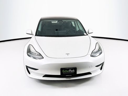 Used 2019 Tesla Model 3 Standard Range Plus RWD image 2