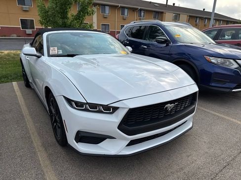Used 2024 Ford Mustang Premium RWD image 2