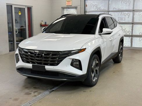 Used 2024 Hyundai Tucson Limited AWD/4WD image 3