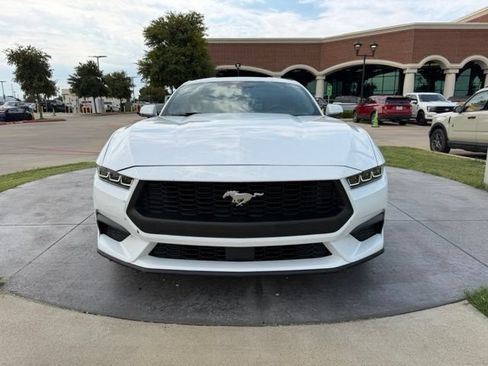 Used 2024 Ford Mustang Premium RWD image 2