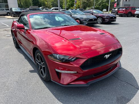 Certified 2022 Ford Mustang Premium RWD image 4