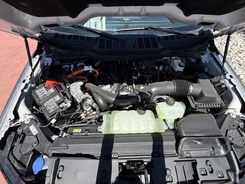 New 2025 Ford F150 XLT w/ Equipment Group 301A Standard image 32