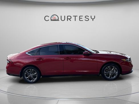 Used 2025 Honda Accord EX-L image 8