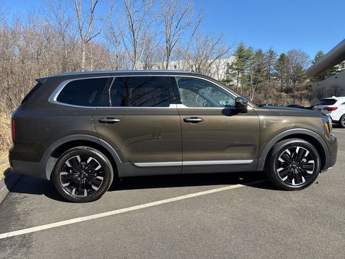 Used 2023 Kia Telluride SX Prestige image 3