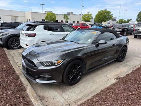 Used 2016 Ford Mustang GT Premium w/ Equipment Group 401A RWD image 13