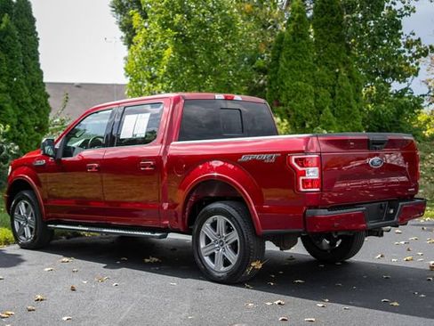 Used 2019 Ford F150 XLT w/ Equipment Group 302A Luxury AWD/4WD image 8