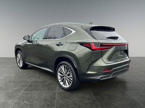 Used 2025 Lexus NX 350h AWD w/ Premium Package image 5