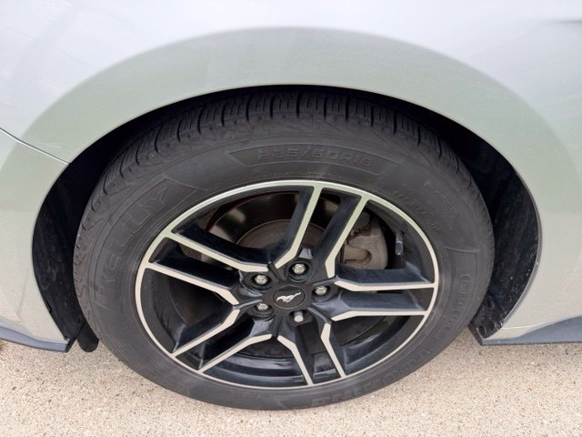 Used 2018 Ford Mustang Premium w/ Equipment Group 201A RWD image 11
