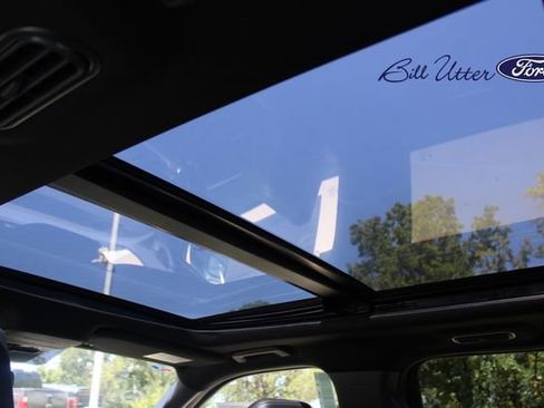 New 2025 Ford Expedition Platinum w/ Stealth Appearance Package image 13