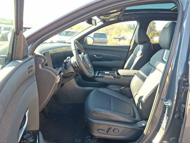 New 2026 Hyundai Tucson Limited AWD/4WD image 6