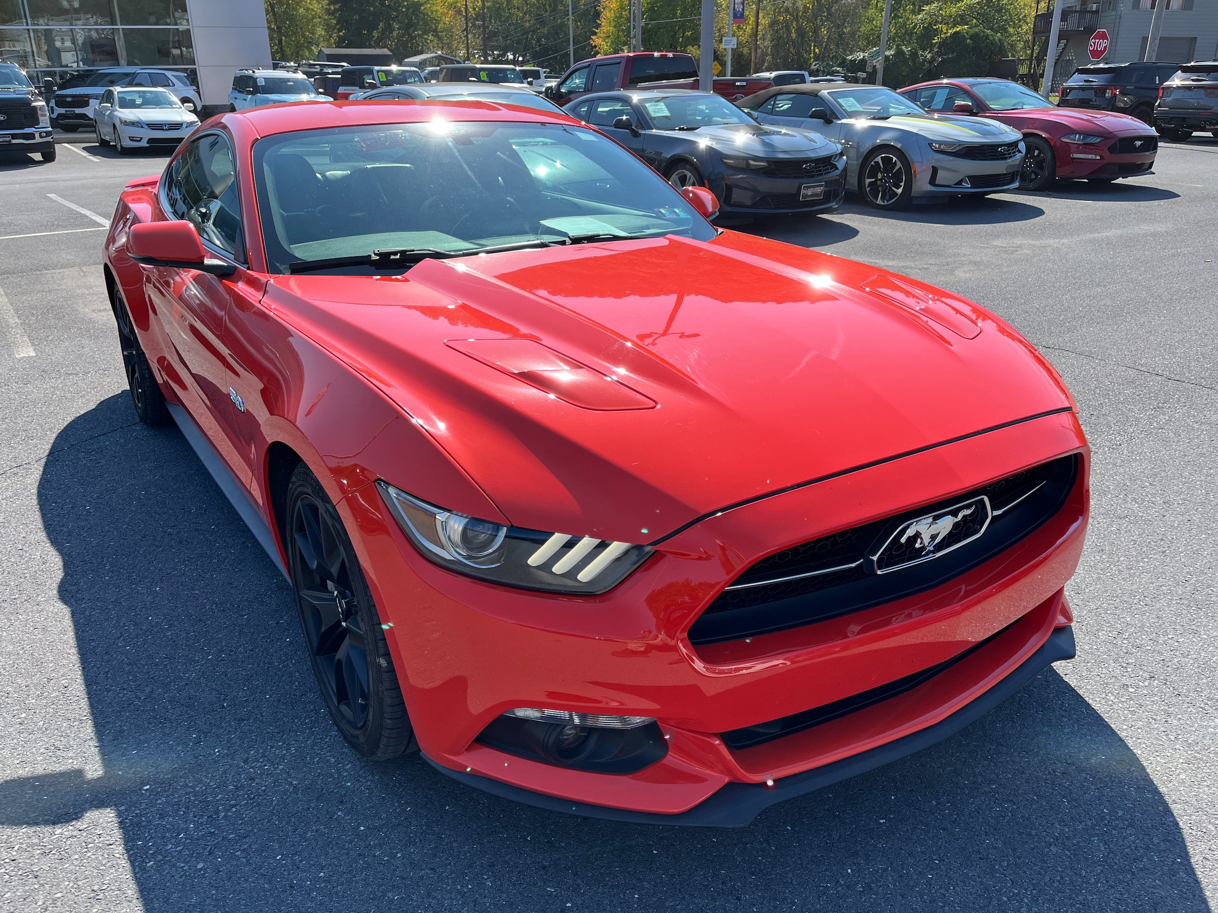 Used 2015 Ford Mustang GT Premium w/ Equipment Group 401A RWD image 4