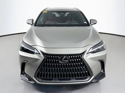 Certified 2025 Lexus NX 350 AWD w/ Cold Area Package