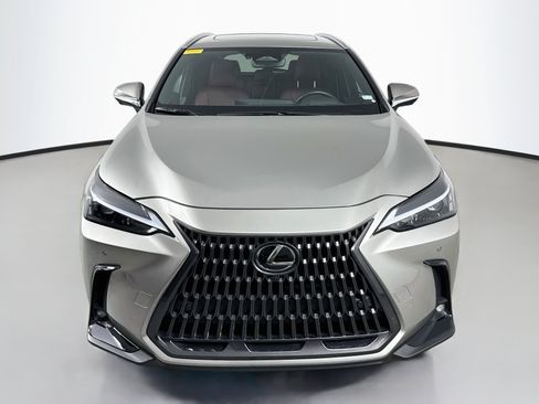 Certified 2025 Lexus NX 350 AWD w/ Cold Area Package image 2