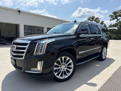 Used 2019 Cadillac Escalade Luxury AWD/4WD image 1