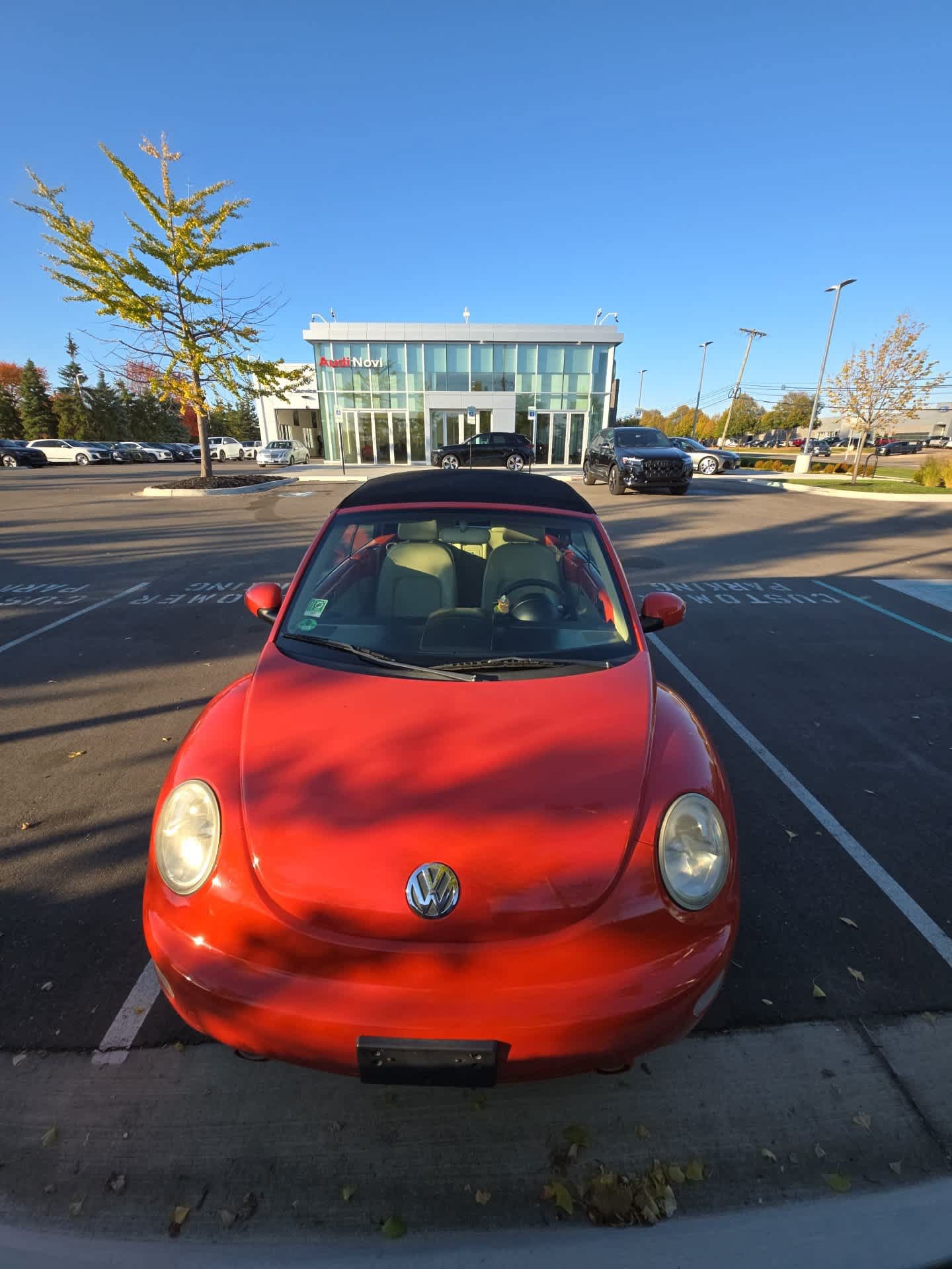 Used 2005 Volkswagen Beetle GLS FWD image 2
