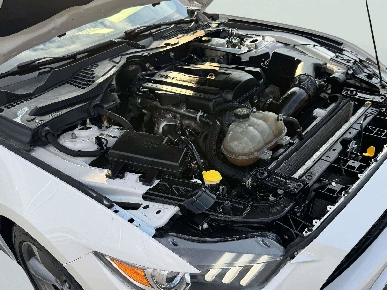 Used 2017 Ford Mustang Premium w/ Equipment Group 201A RWD image 52