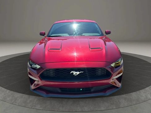 Used 2019 Ford Mustang Coupe RWD image 8