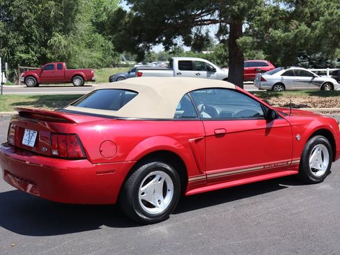 Used 1999 Ford Mustang Convertible RWD image 4