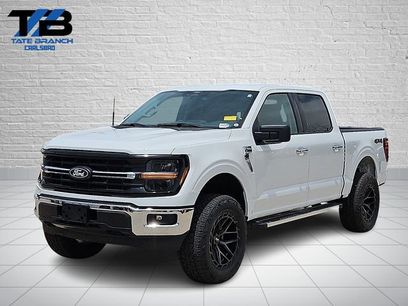 Used 2025 Ford F150 XLT w/ Equipment Group 301A Standard