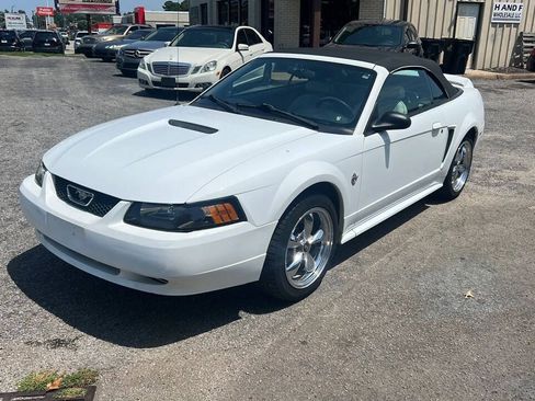 Used 1999 Ford Mustang Convertible RWD image 1