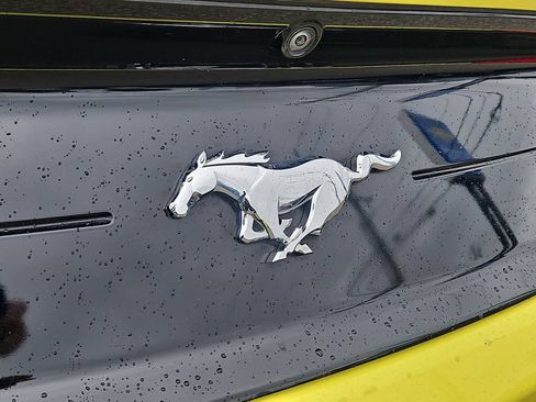 Used 2021 Ford Mustang Premium RWD image 12