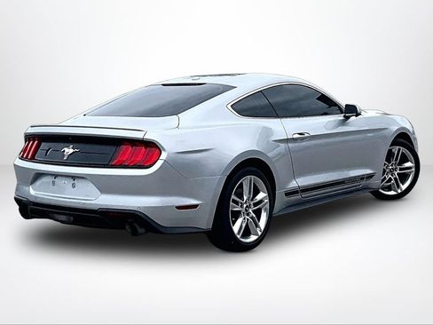 Used 2019 Ford Mustang Premium w/ Equipment Group 201A RWD image 3