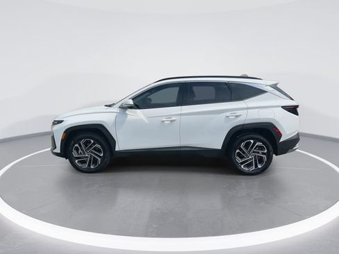 Certified 2025 Hyundai Tucson Limited AWD/4WD image 5