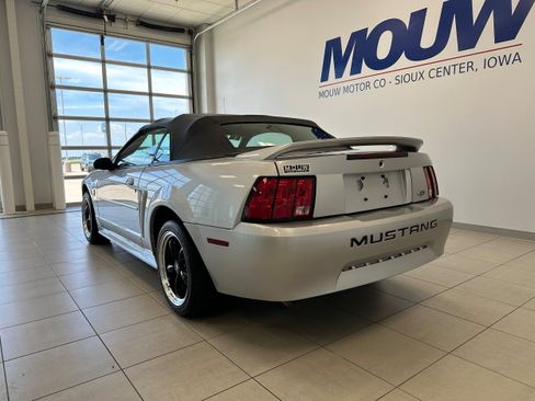 Used 2001 Ford Mustang Premium RWD image 6