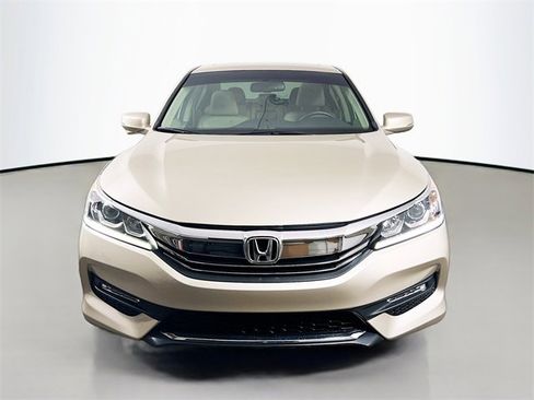 Used 2017 Honda Accord EX-L image 2