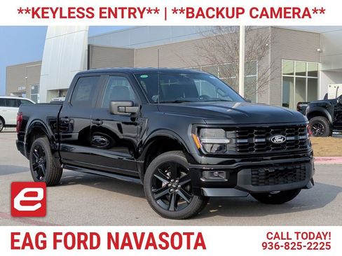 New 2025 Ford F150 STX w/ LOBO Package image 1
