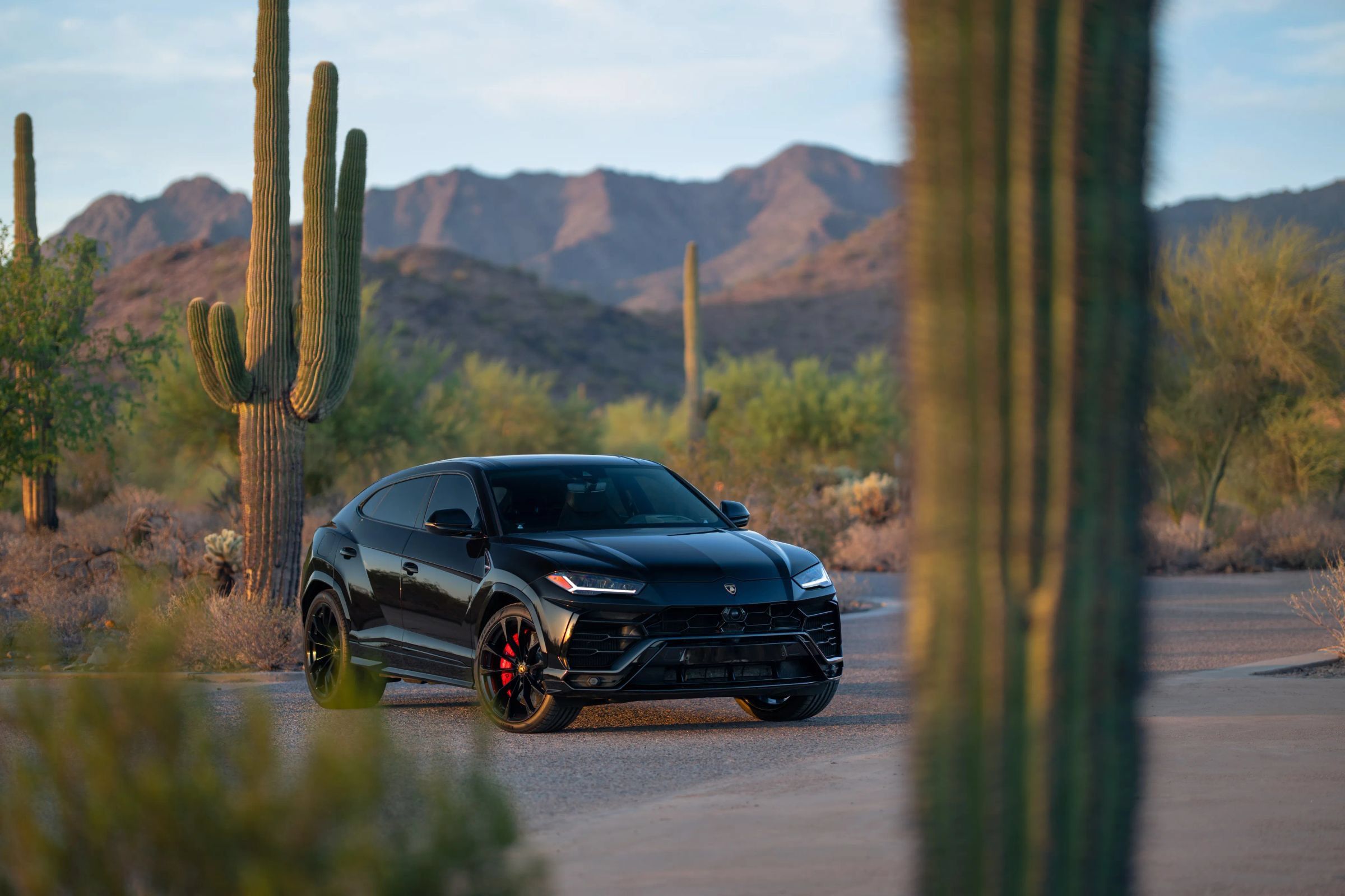 Used 2021 Lamborghini Urus AWD/4WD image 1