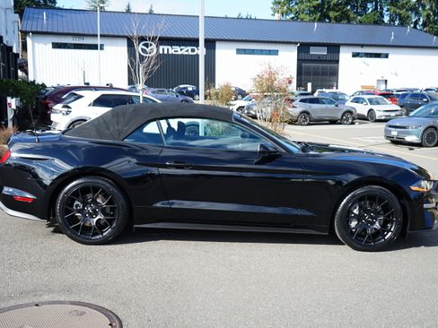 Used 2019 Ford Mustang Convertible w/ Ecoboost Performance Package image 2