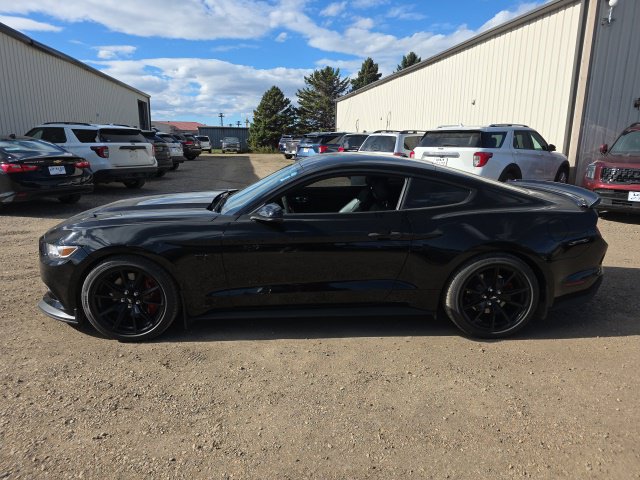 Used 2017 Ford Mustang GT Premium w/ Equipment Group 401A RWD image 3