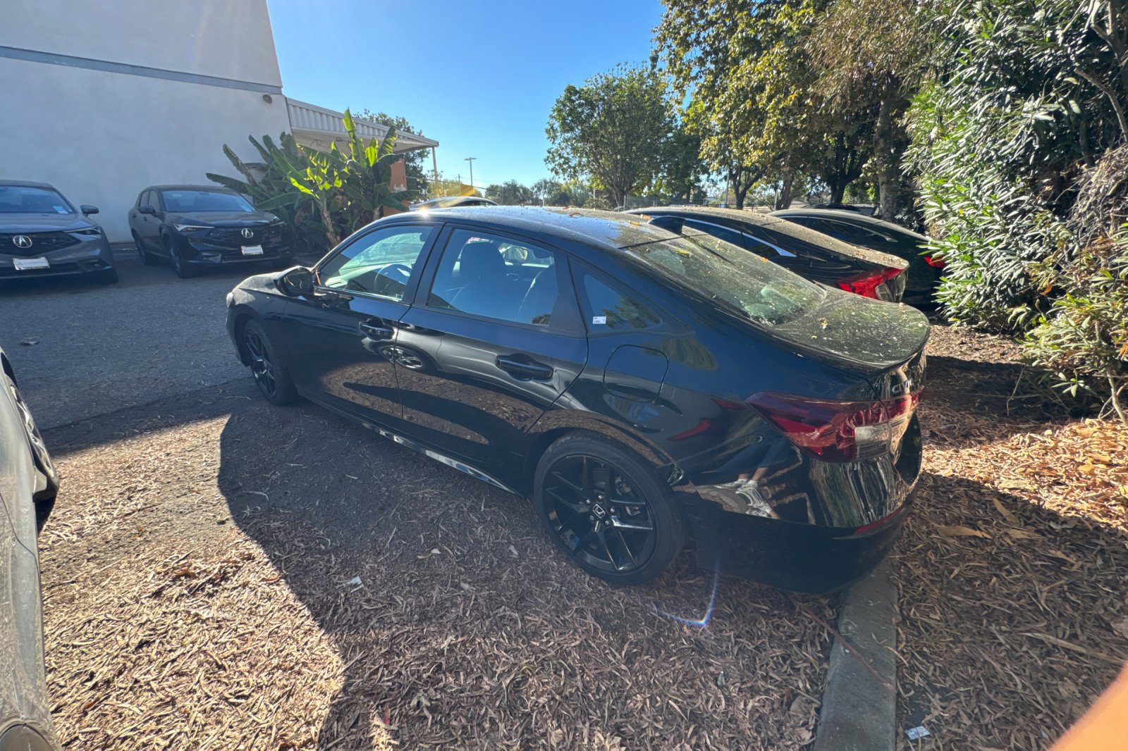 Used 2025 Honda Civic Sport image 6