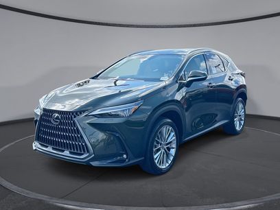 New 2026 Lexus NX 350 AWD w/ Luxury Package