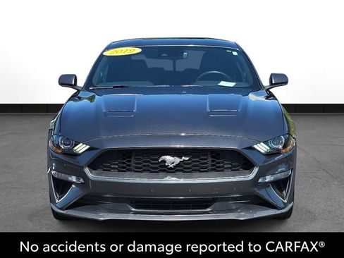 Used 2019 Ford Mustang Premium w/ Ford Safe & Smart Package RWD image 2