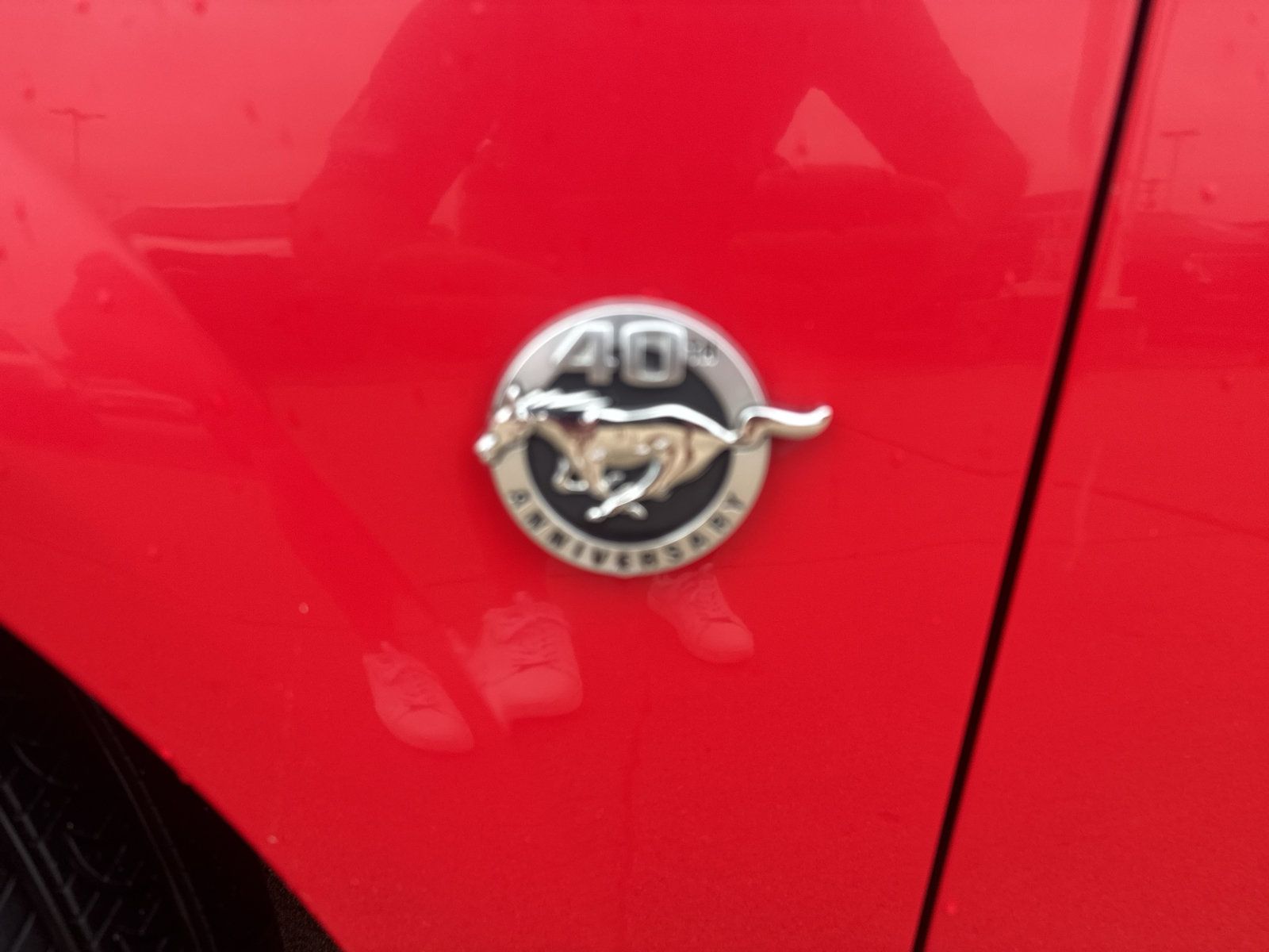 Used 2004 Ford Mustang Mach 1 RWD image 14