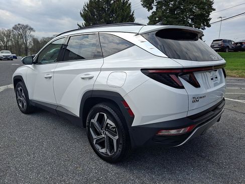 Certified 2023 Hyundai Tucson Limited image 7