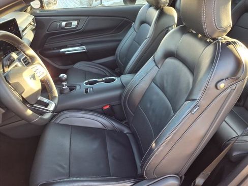 Certified 2025 Ford Mustang GT Premium w/ Mustang Nite Pony Package image 4