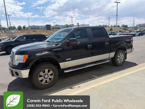 Used 2012 Ford F150 XLT w/ XLT Chrome Pkg AWD/4WD image 14