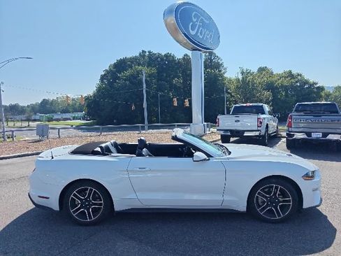 Used 2021 Ford Mustang Premium RWD image 2