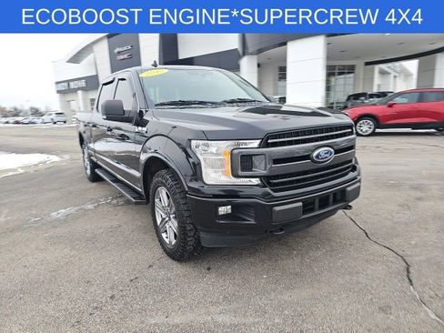 Used 2019 Ford F150 XLT w/ Equipment Group 302A Luxury image 3