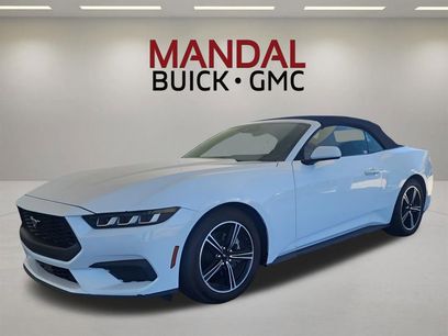 Used 2024 Ford Mustang Premium