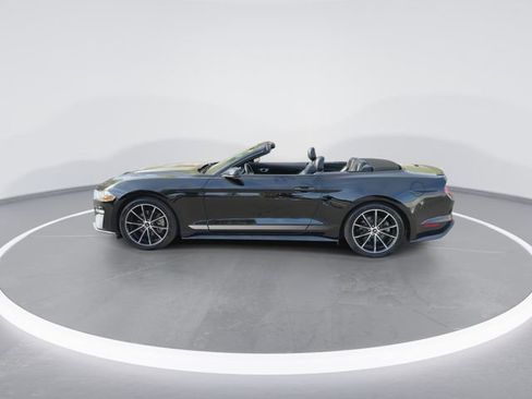 Used 2020 Ford Mustang Premium w/ Equipment Group 201A image 5