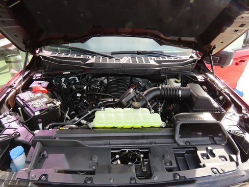 New 2025 Ford F150 XLT w/ Equipment Group 303A High image 27