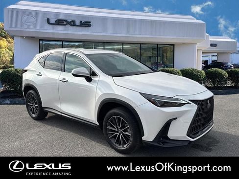 Used 2025 Lexus NX 250 FWD w/ Cold Area Package image 7
